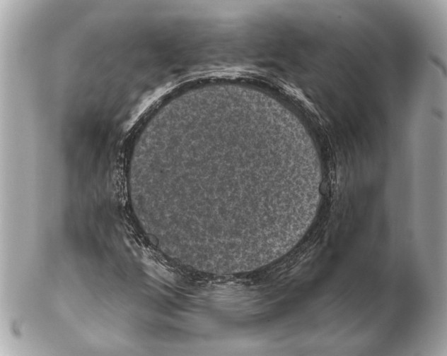 X0000102401256200808291438