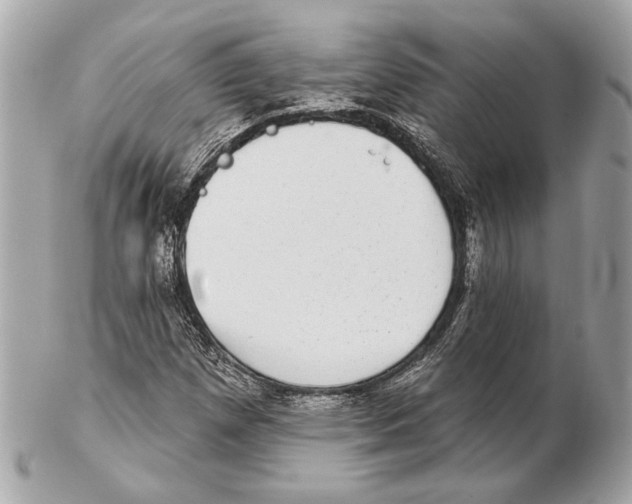 X0000102401257200808291438