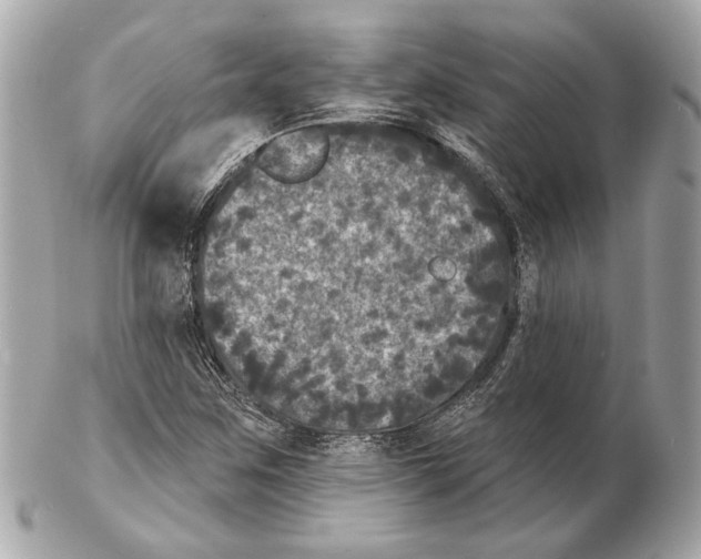 X0000102401259200808291437