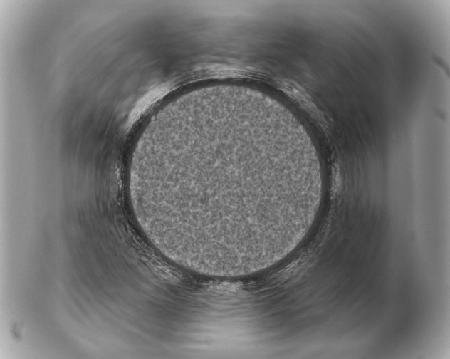 X0000102401261200808291437