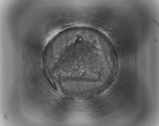 X0000102401263200808291437