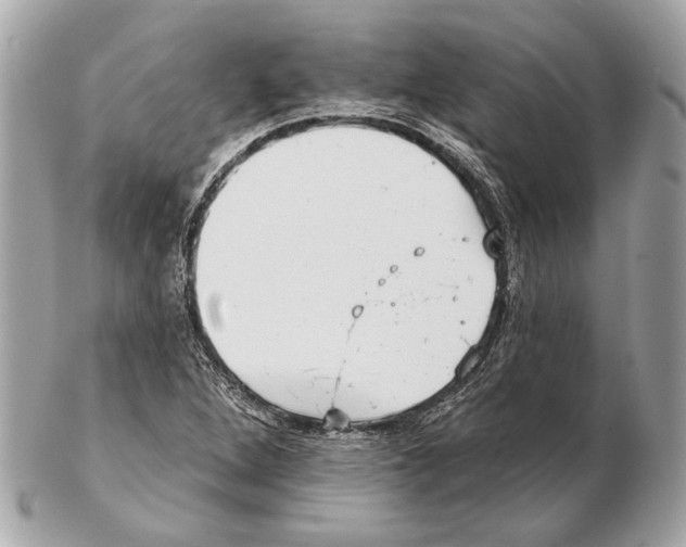 X0000102401264200808291437