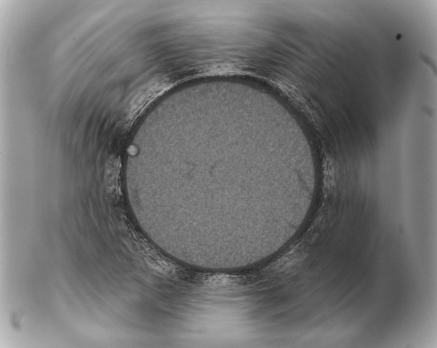 X0000102401265200808291437