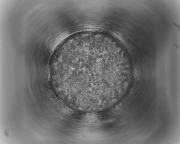 X0000102401267200808291437