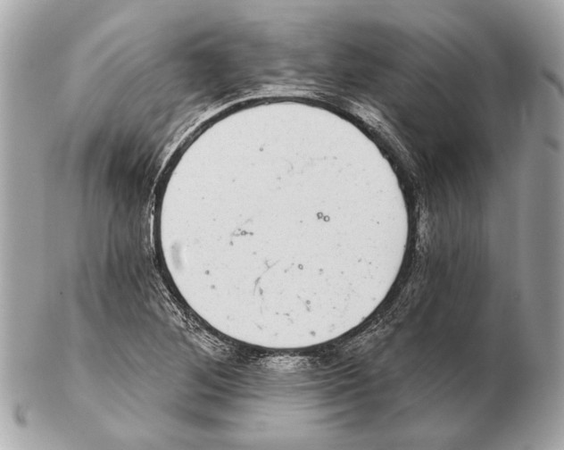 X0000102401268200808291437