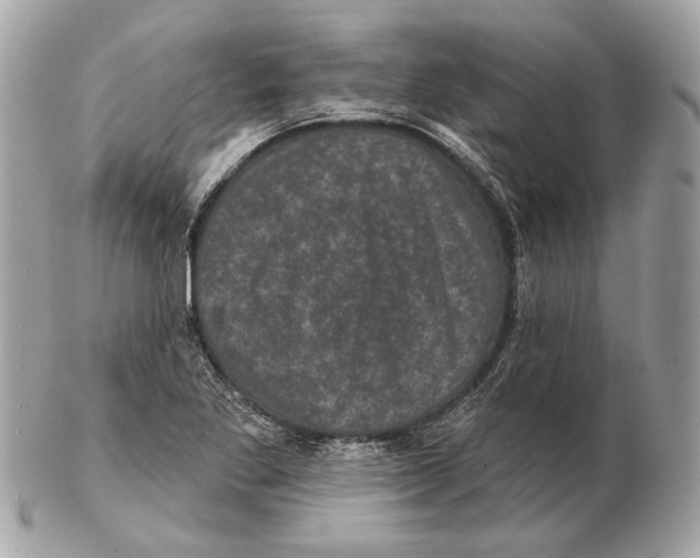 X0000102401269200808291437