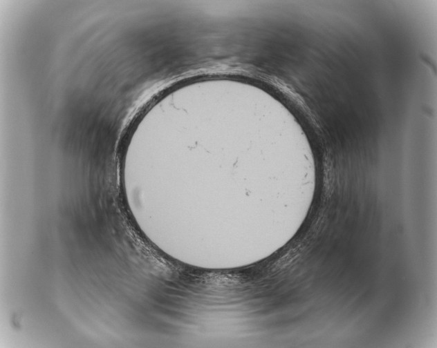 X0000102401270200808291437