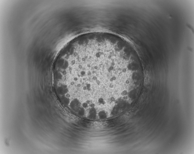 X0000102401271200808291437