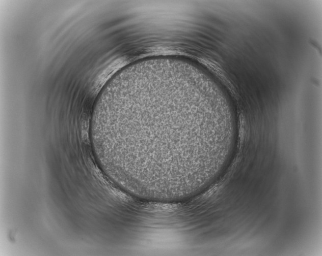 X0000102401273200808291437