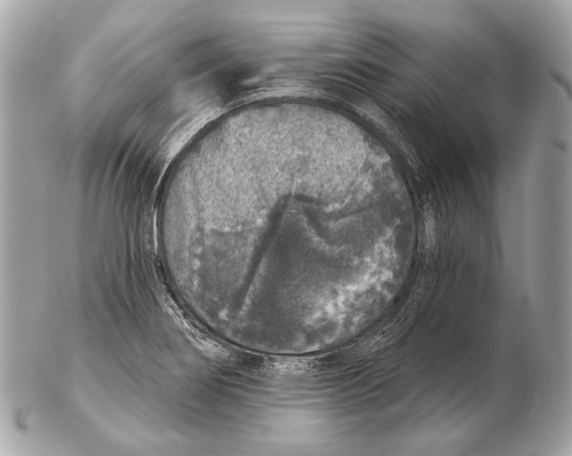 X0000102401274200808291437