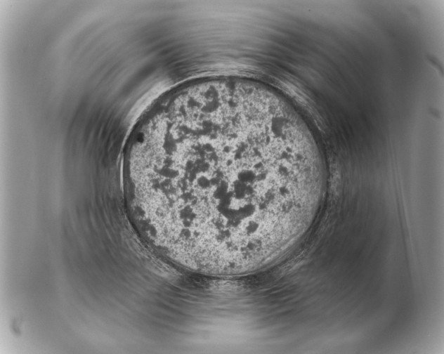 X0000102401275200808291437