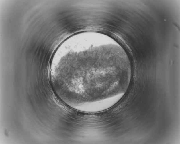 X0000102401276200808291437