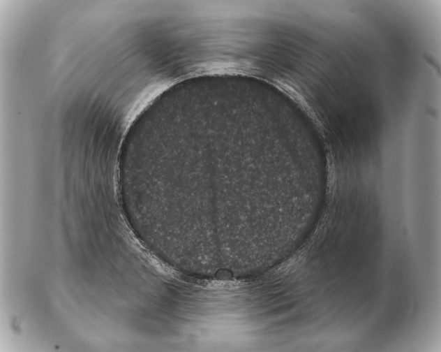 X0000102401277200808291437