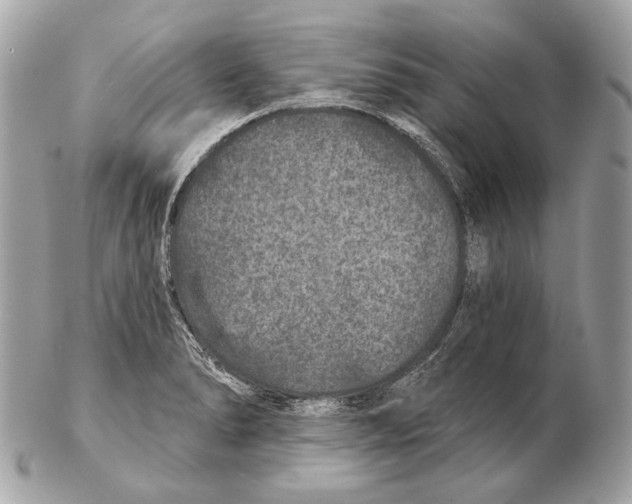 X0000102401278200808291437