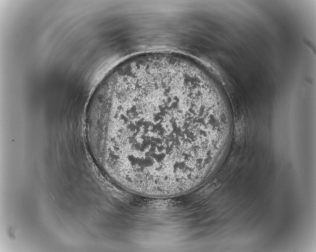 X0000102401279200808291437