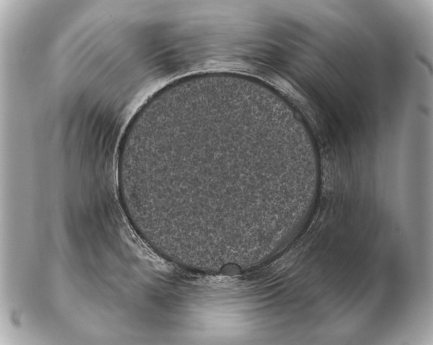 X0000102401280200808291437