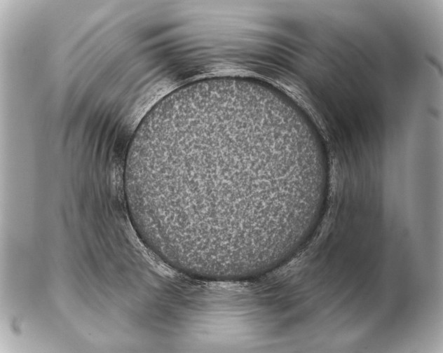 X0000102401281200808291437