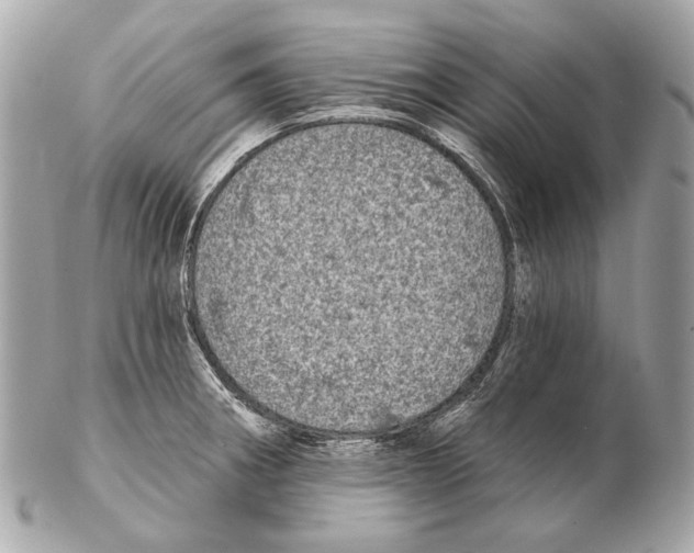 X0000102401282200808291437