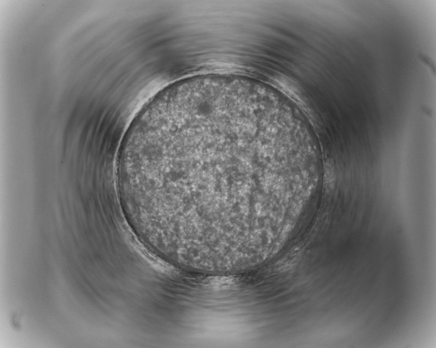 X0000102401283200808291437