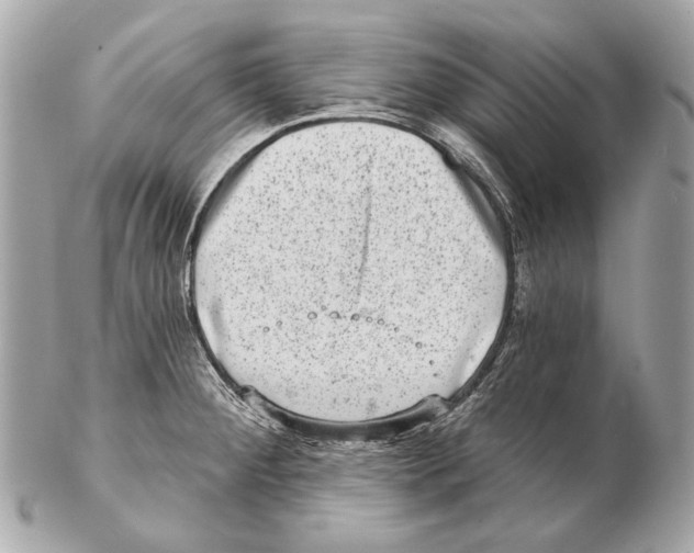 X0000102401284200808291437