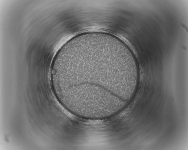 X0000102401285200808291437