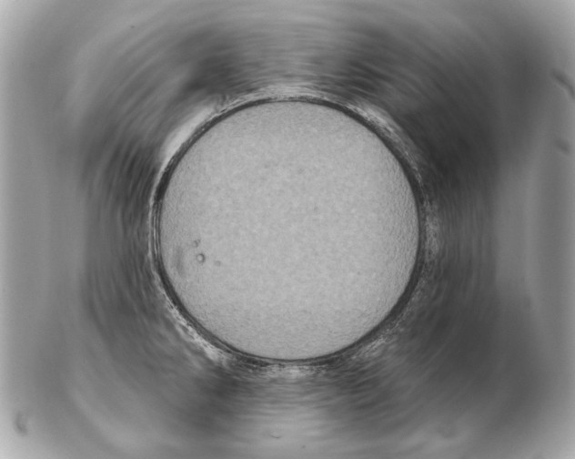 X0000102401286200808291437