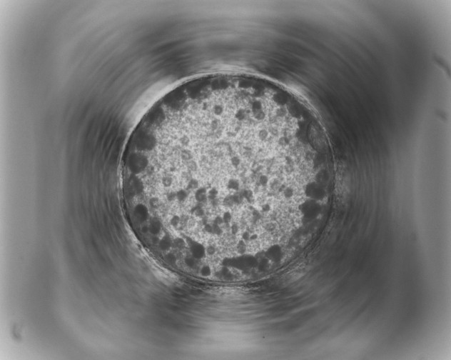X0000102401287200808291437