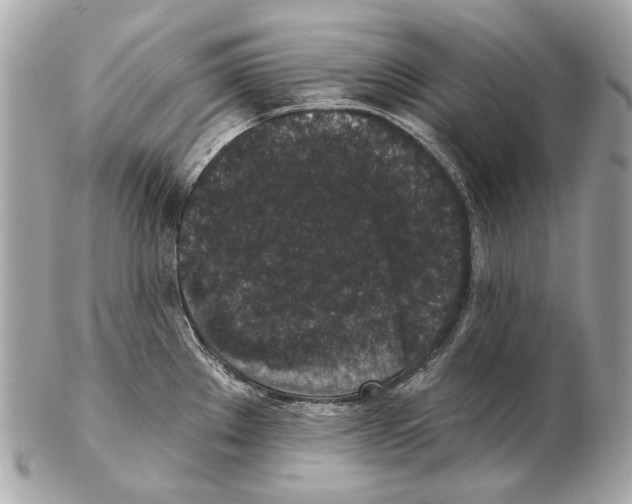 X0000102401289200808291437