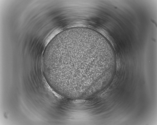 X0000102401290200808291437