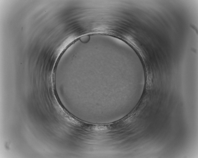 X0000102401291200808291437