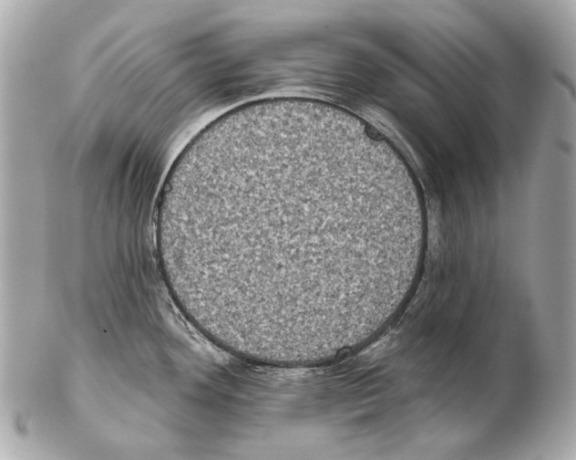X0000102401292200808291437