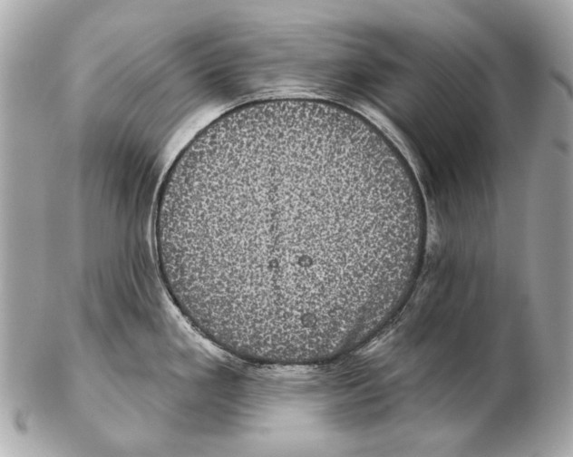X0000102401293200808291437
