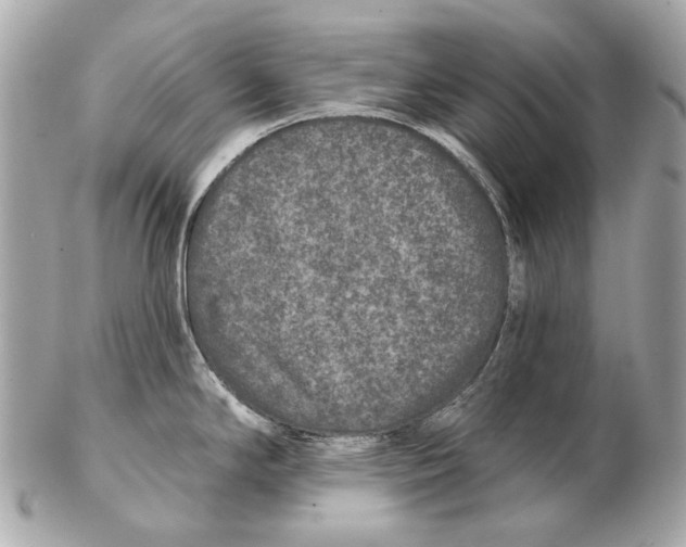 X0000102401294200808291437
