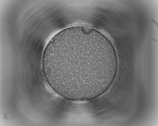 X0000102401296200808291437