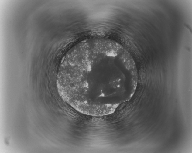 X0000102401297200808291436