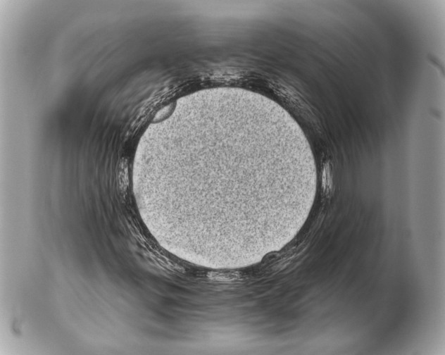 X0000102401299200808291436