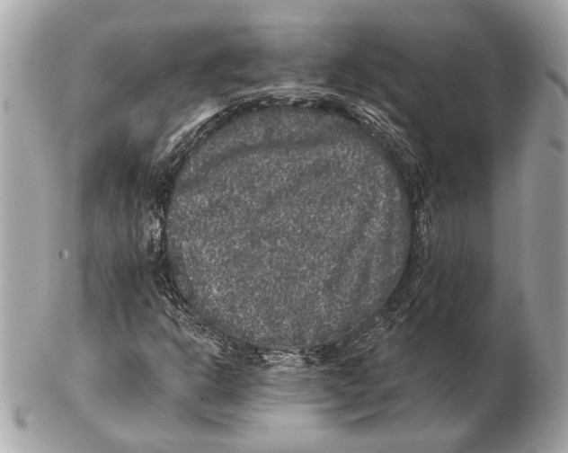 X0000102401302200808291436