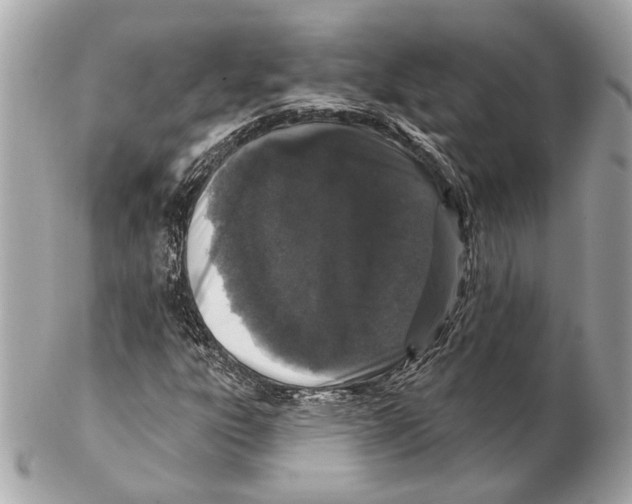 X0000102401303200808291436