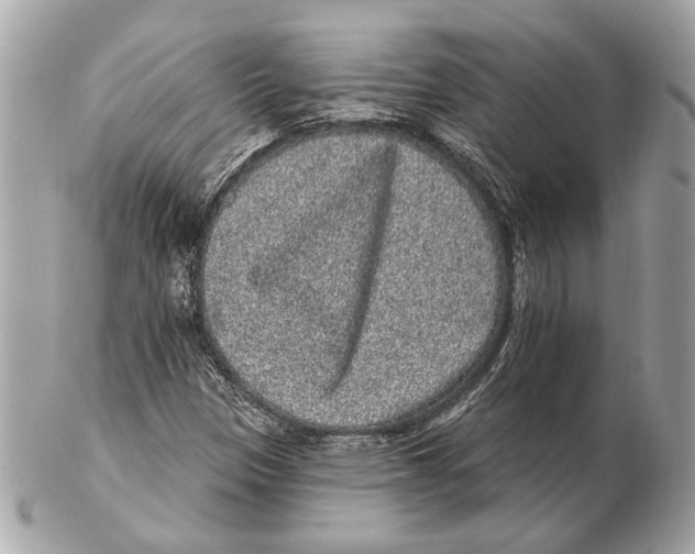 X0000102401305200808291436