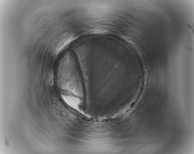 X0000102401306200808291436