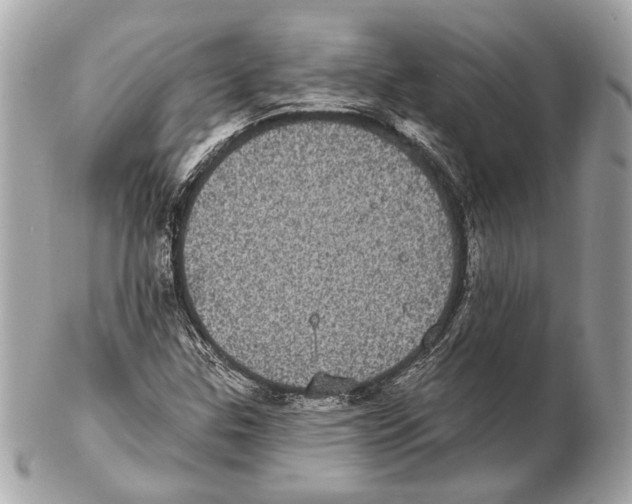 X0000102401307200808291436