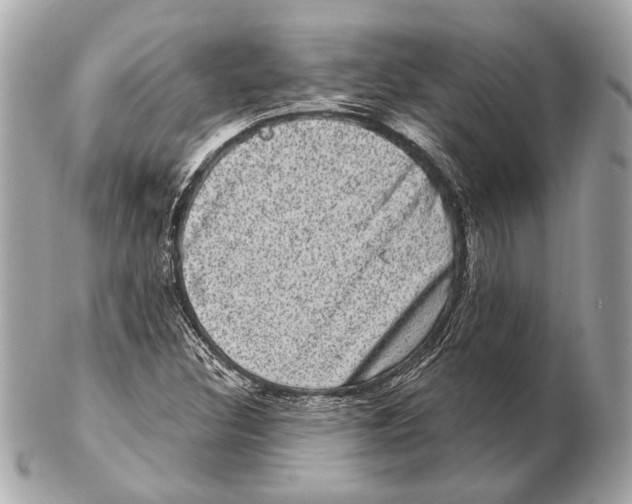 X0000102401308200808291436