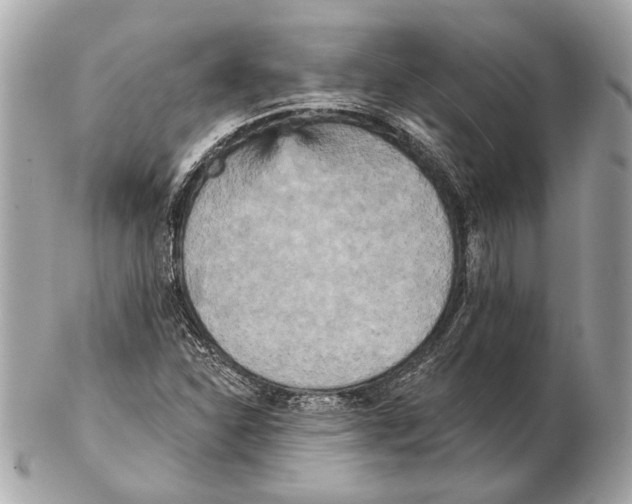 X0000102401310200808291436