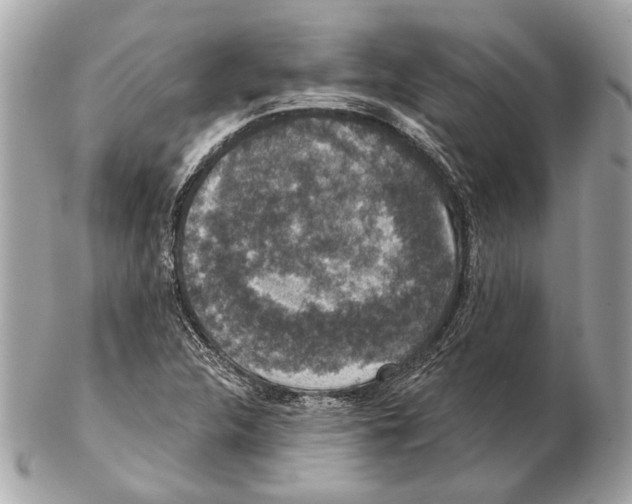 X0000102401312200808291437