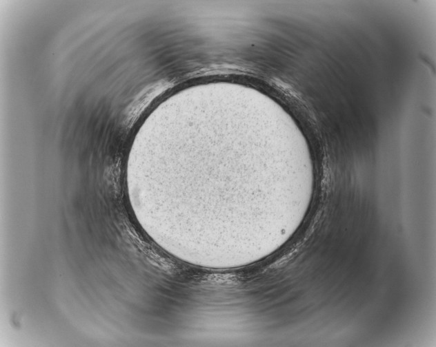 X0000102401313200808291437