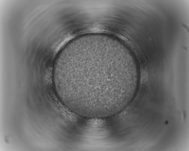 X0000102401314200808291437
