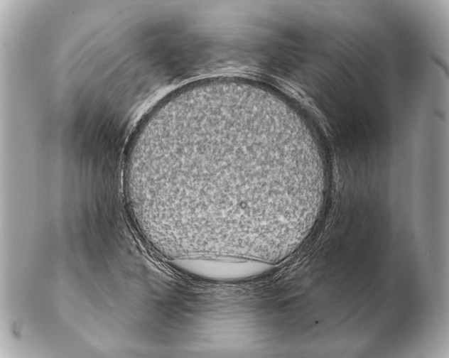 X0000102401316200808291437