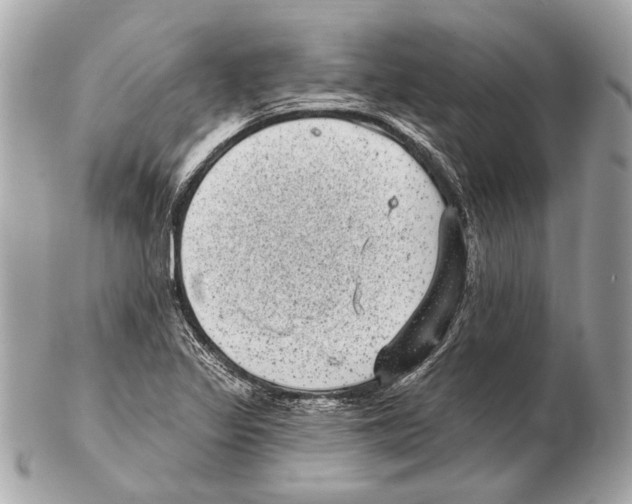 X0000102401317200808291437