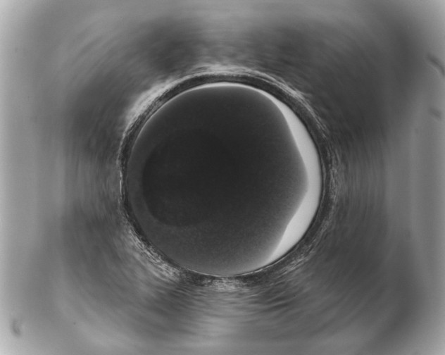 X0000102401319200808291437