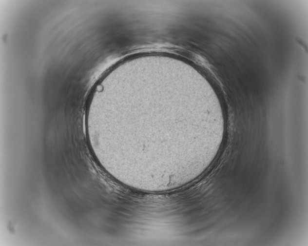X0000102401320200808291437